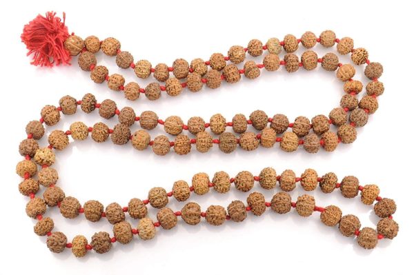 Rudraksh Mala 9 mukhi