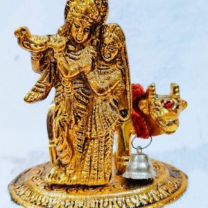 Radha Krishna Idol