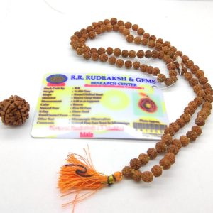 Lab Certified Rudraksh Mala (6 mm) & one 5 Panch mukhi rudraksh