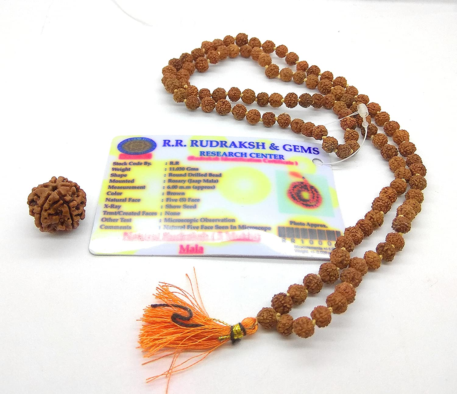 3 Mukhi Rudraksha Mala lab Certified, 108 Mala Beads, 3 Mukhi Rudraksha  Necklace, Prayer Mala, Meditation Mala, Gift for Yoga Lover 
