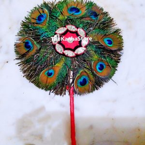 Natural Peacock Feather Fan