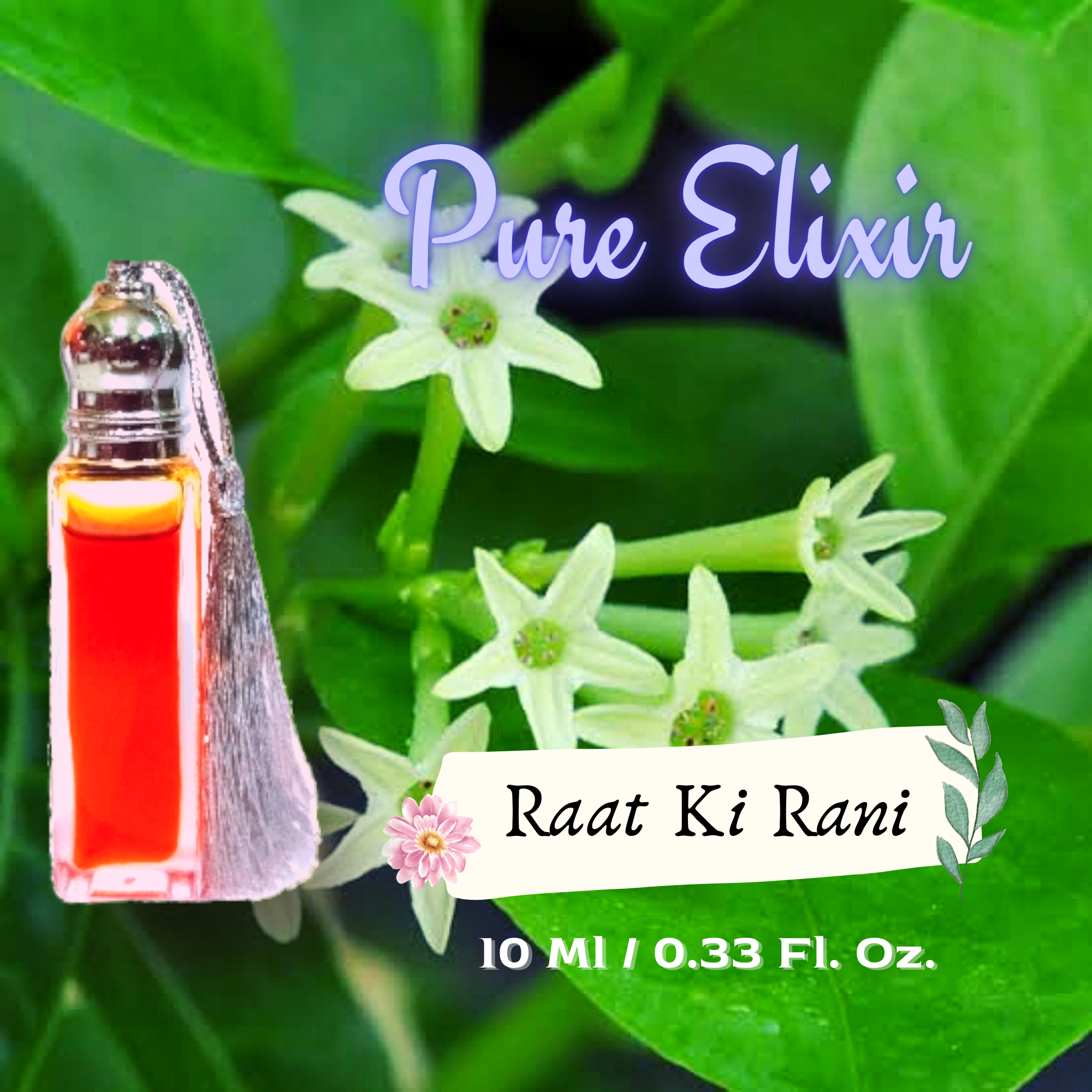 Raat Ki Rani Night Queen 100 Pure Elixir Fragrance Oil 10 ml Naturally Extracted Aromatherapy Undiluted Attar