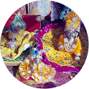 Himani V. profile picture