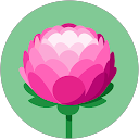 Kashish S. profile picture